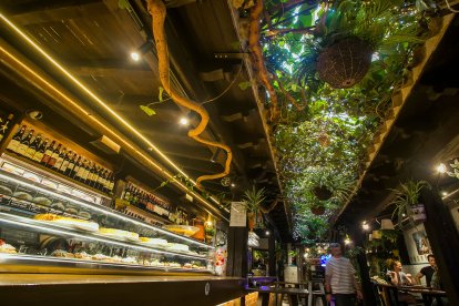 Gaona Jardín. FOTOS: © ECB / TOMÁS ALONSO.