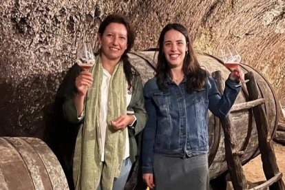 Por 12,50 euros ofrecen una visita guiada de unas dos horas de duración, en la que el vino y la historia son protagonistas.
