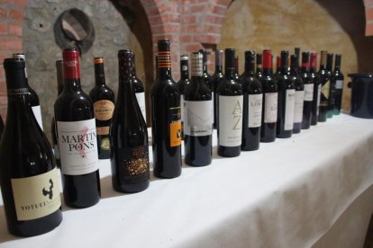 Algunos de los vinos catados en la primera edición