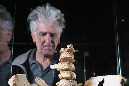 Juan Luis Arsuaga observa la instalación ya dispuesta en el interior de la pastilla de la Sima de los Huesos. JAVIER TRUEBA (MSF)