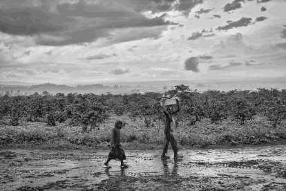 Eduardo Margareto / ICAL. Niños Invisibles Rubare (Congo). Niños que salen al amanecer a trabajar al campo y no vuelven hasta que comienza el ocaso, para intentar vender lo que han recolectado.