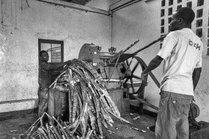 Eduardo Margareto / ICAL. La caña de azucar llega al Centro de Desarrollo de San José en Rubare, y comienza el proceso para elaborar el azucar. Las cañas se pasan hasta tres veces por la máquina que les saca el jugo. Los desechos de la caña se utilizan para alimentar a los animales de la granja