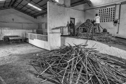 Eduardo Margareto / ICAL. La caña de azucar llega al Centro de Desarrollo de San José en Rubare, y comienza el proceso para elaborar el azucar. Las cañas se pasan hasta tres veces por la máquina que les saca el jugo. Los desechos de la caña se utilizan para alimentar a los animales de la granja