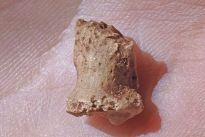 Falange de pie neandertal.-JAVIER TRUEBA