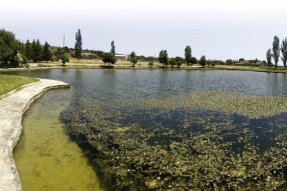 Parece una inofensiva charca, llena de ranas que bebe de las aguas de lluvia y del deshielo. ISRAEL L. MURILLO