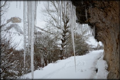 Terradillos de Sedano está situado al norte de Burgos y tiene  apenas 7 habitantes durante todo el año y algunos más los fines de semana, y cuando llega la primavera y se dejan atrás los rigores de los duros días de invierno.