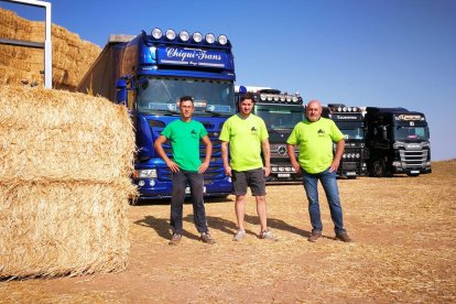 Respuesta solidaria desde Burgos para alimentar al ganado de Ávila