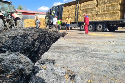 Respuesta solidaria desde Burgos para alimentar al ganado de Ávila