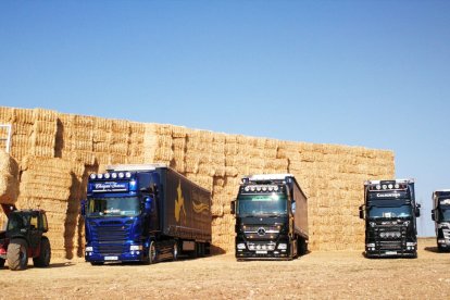 Respuesta solidaria desde Burgos para alimentar al ganado de Ávila