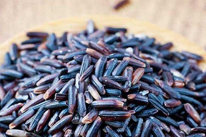 Arroz negro, (balatinaw-rice) típico del Burgos de Ilocos Sur en Filipinas.