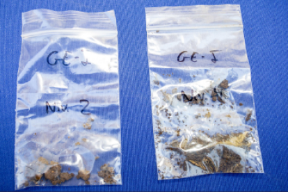 Bolsas de sedimento de estatuas donde se ha obtenido el rastro genética, sin fósil, de cinco neandertales. SANTI OTERO