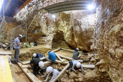 La zona amplia de excavacion finaliza el nivel 7 con restos de un cerdo prehistórico (suido) y un astrágalo de hipopótamo. SANTI OTERO