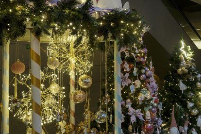 Feria de Navidad de los Floristas de Burgos en el Forum Evolución. FOTOS: © ECB / SANTI OTERO