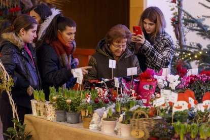 Feria de Navidad de los Floristas de Burgos en el Forum Evolución. FOTOS: © ECB / SANTI OTERO