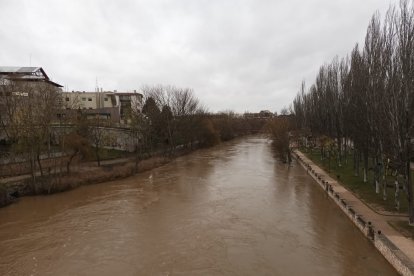 El Duero a su paso por Aranda este jueves. L. V.