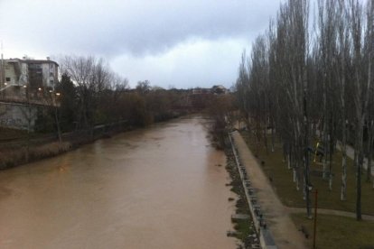 El Duero en Aranda aumentó su caudal / LORETO VELÁZQUEZ