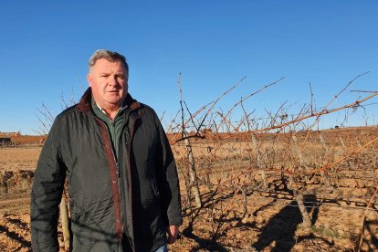Enrique Pascual es el presidente del Consejo Regulador Ribera del Duero