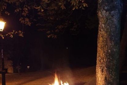 La papelera ardiendo al lado de uno de los árboles del Castillo. POLICÍA LOCAL