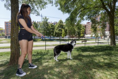 Perros y dueños disfrutan de las áreas de esparcimiento canino. SANTI OTERO