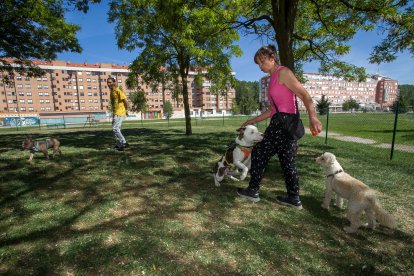 Perros y dueños disfrutan de las áreas de esparcimiento canino. TOMÁS ALONSO