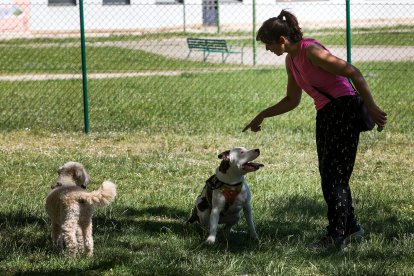 Perros y dueños disfrutan de las áreas de esparcimiento canino. TOMÁS ALONSO