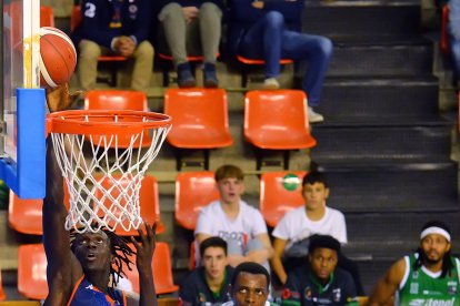 Otra canasta de Diene. TOMÁS ALONSO