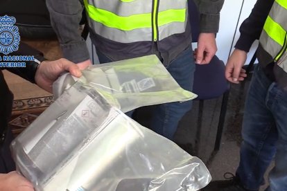 a Policía Nacional detiene a 14 personas como presuntos autores de 98 grafitis en trenes
