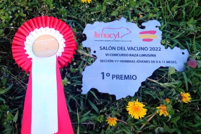 Reconocimiento al trabajo bien hecho.