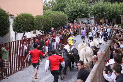Encierros de Roa