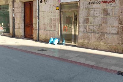 Basura tirada en la calle de La Puebla. L. G. L.