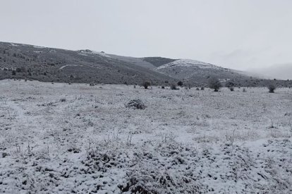 Campos nevados, ayer en Palacios de la Sierra. ESTIBALIZ LLORENTE
