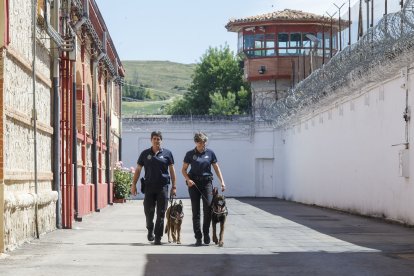 Marcial y Belén con sus perros. La Unidad Canina al completo. SANTI OTERO