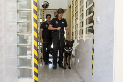 La Unidad Canina, compuesta por dos funcionarios y dos perros, accede a la prisión de Burgos. SANTI OTERO