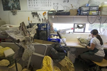 Salas es todo un referente para la Paleontología gracias a sus dinosaurios. I. L. M.