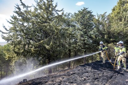 Los equipos de extinción se han centrado en evitar que las llamas llegaran a la zona de arbolado y los Bomberos de Burgos lo han dado por controladO. FOTOS: © ECB / SANTI OTERO