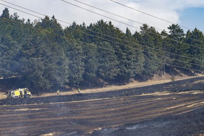 Los equipos de extinción se han centrado en evitar que las llamas llegaran a la zona de arbolado y los Bomberos de Burgos lo han dado por controladO. FOTOS: © ECB / SANTI OTERO