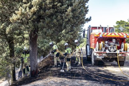 Los equipos de extinción se han centrado en evitar que las llamas llegaran a la zona de arbolado y los Bomberos de Burgos lo han dado por controladO. FOTOS: © ECB / SANTI OTERO