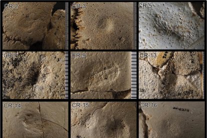 Imágenes de lesiones en los restos analizados. JAVIER TRUEBA