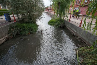Obras de mejora del cauce molinar en Villayuda, La Ventilla TOMÁS ALONSO