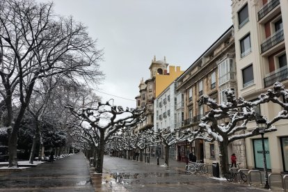 Paseo del Espolón, en Burgos. DARÍO GONZALO