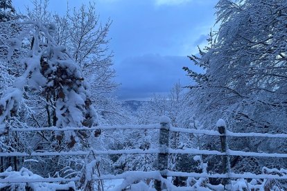Nevada en el Valle de Mena. ECB