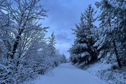 Nevada en el Valle de Mena. ECB