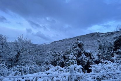 Nevada en el Valle de Mena. ECB