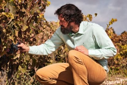 Mejor Enólogo Joven del Año: Ricardo Velasco, de Bodegas Valtravieso.