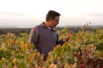 Viticultor del año. Ismael Sanz, de Bodegas Dominio de Atauta.