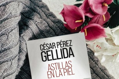 Portada de 'Astillas en la piel' de César Pérez Gellida. E. HERNANDO