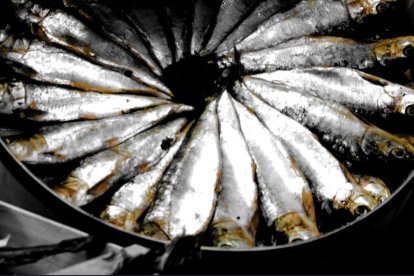 Para la absorción del calcio es necesario un valor suficiente de vitamina D, hacer ejercicio de forma regular y evitar el tabaco.