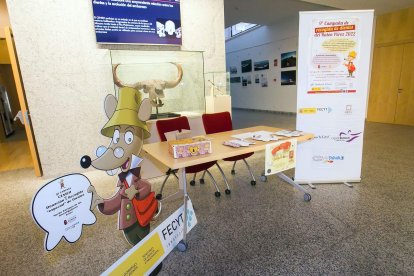 En la recogida colabora el Museo del Ratón Pérez de Madrid. Aunque también se pueden donar dientes enviándolos al mismo Cenieh. TOMÁS ALONSO