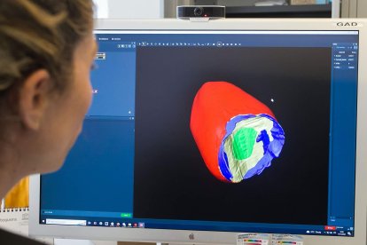 Este archivo de miles de imágenes permite trabajar una parte del diente (corona, dentina o esmalte) y aislar el resto. Permite también obtener datos de volúmenes que junto con la ficha informativa entregada por los más pequeños, permite establecer estudios sobre dimorfismo sexual, edad o morfología que, al comparar con piezas extintas, permiten hacer cambios. TOMÁS ALONSO