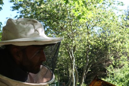 Jalea Rural es un proyecto asentado en Pradolunego que quiere poner en valor la importancia de las abejas. JALEA RURAL
